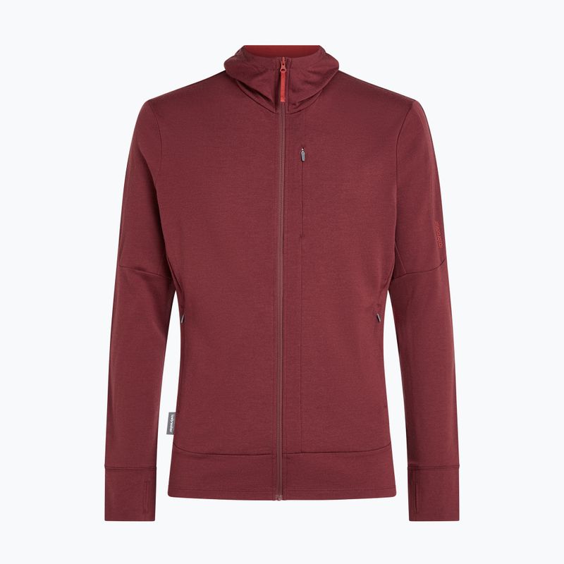 Pánská mikina Icebreaker Merino 260 Quantum IV LS Zip Hoodie port/agate 10