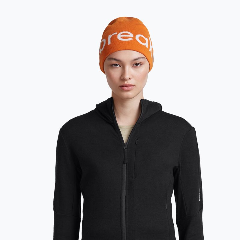 Zimní čepice icebreaker Merino Icebreaker Beanie spice/ecru heather 6