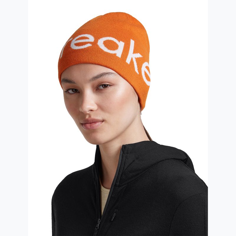 Zimní čepice icebreaker Merino Icebreaker Beanie spice/ecru heather 7