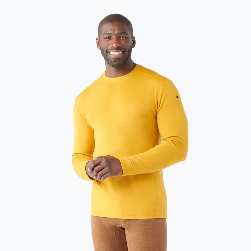 Pánské termo tričko Smartwool Merino 250 Baselayer Crew Boxed honey gold