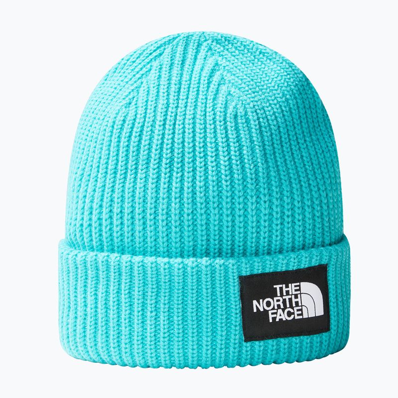 Kšiltovka The North Face Salty apres blue