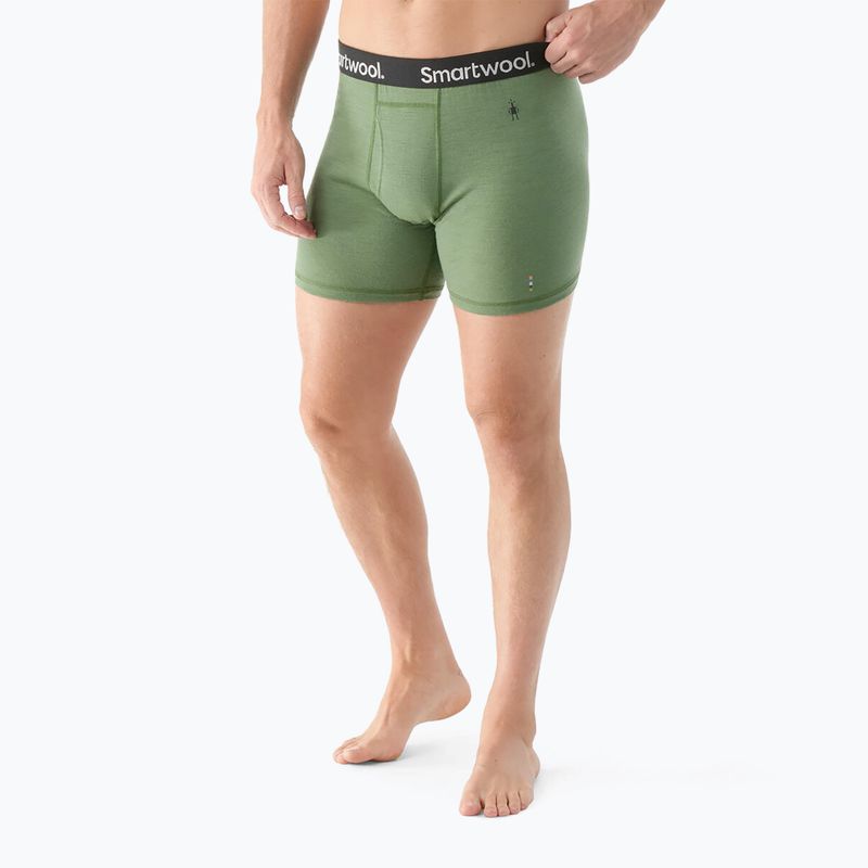Pánské zateplené boxerky Smartwool Merino Boxer Boxed fern green 2