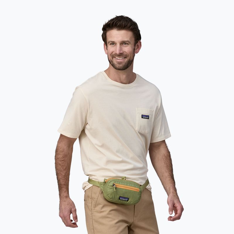 Ledvinka Patagonia Ultralight Black Hole Mini Hip Pack 1 l buckhorn green 3