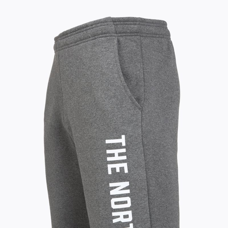 Pánské kalhoty  The North Face Varsity Graphic medium grey heather 3