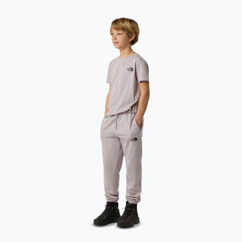 Dětské tričko The North Face Teen Simple Dome Tee moonstone grey 2