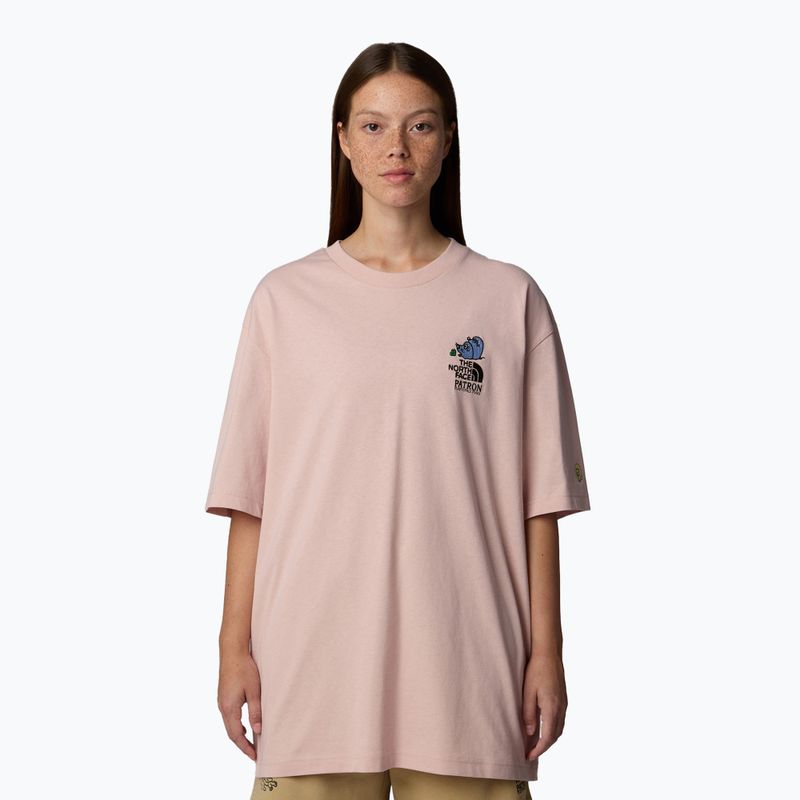 Pánské tričko The North Face Reflective Box Nse Tee pink moss