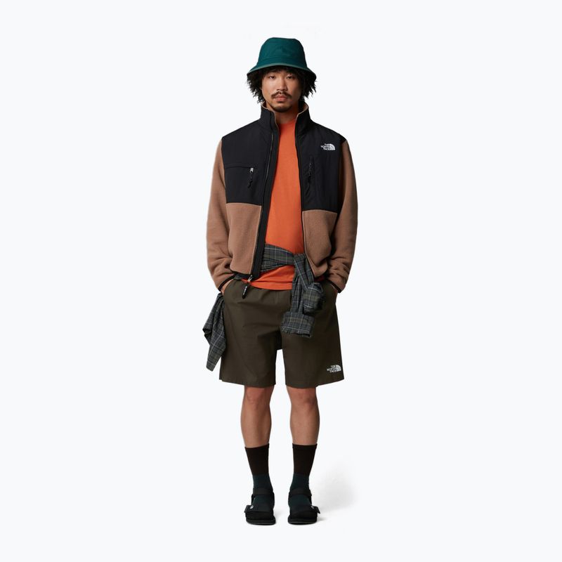 Pánské šortky The North Face Limestone new taupe green 2