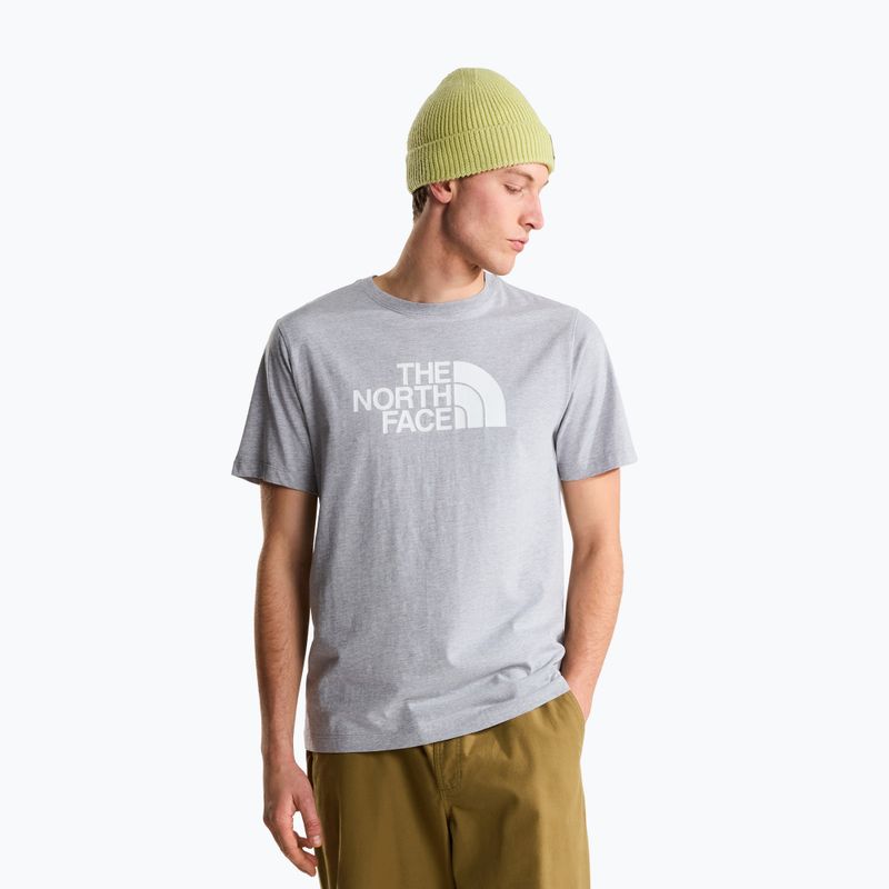 Pánské tričko na lezení The North Face Evolution Half Dome tnf pale grey heather