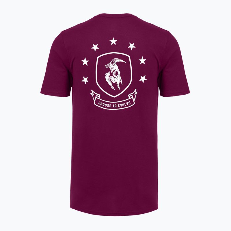 Pánské tréninkové tričko Under Armour Project Rock Badge Of Honor purple 4