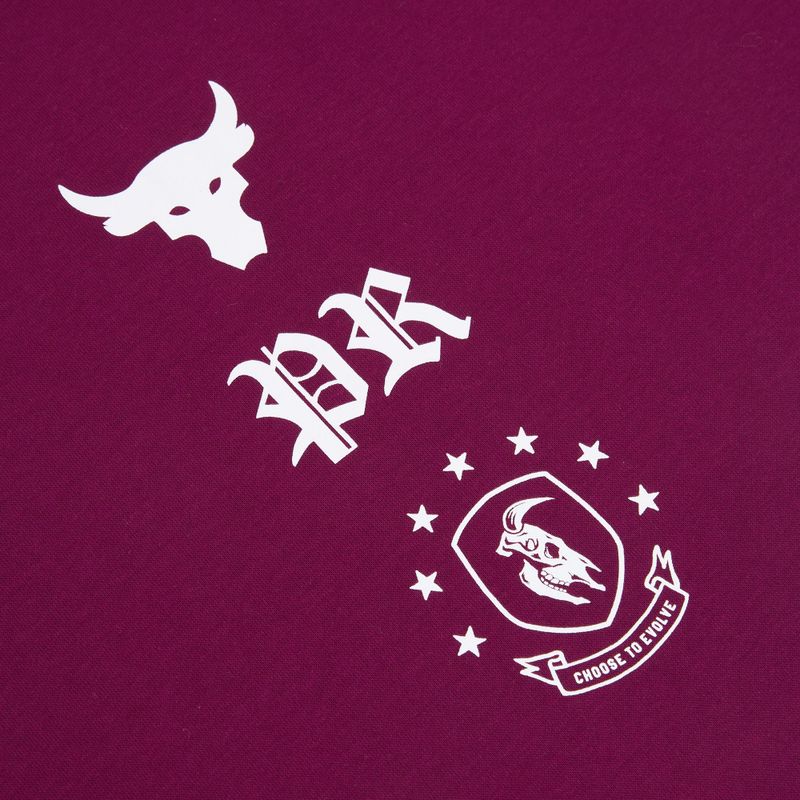 Pánské tréninkové tričko Under Armour Project Rock Terry Q3 purple 3
