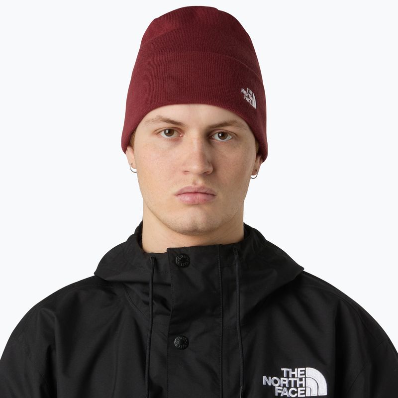 Zimní čepice The North Face Norm Beanie sumac 3