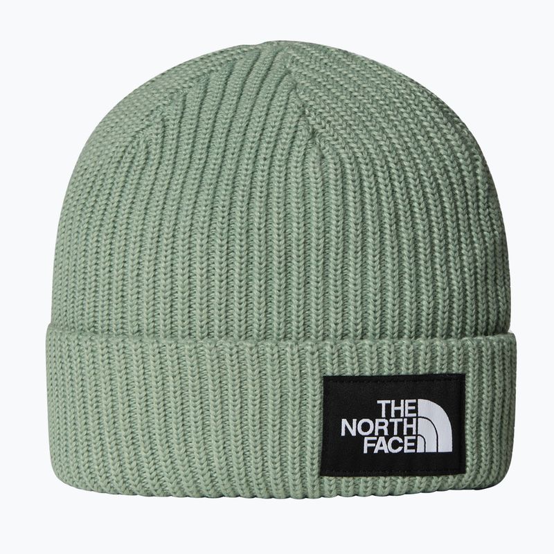 Dětská zimní čepice The North Face Salty Lined