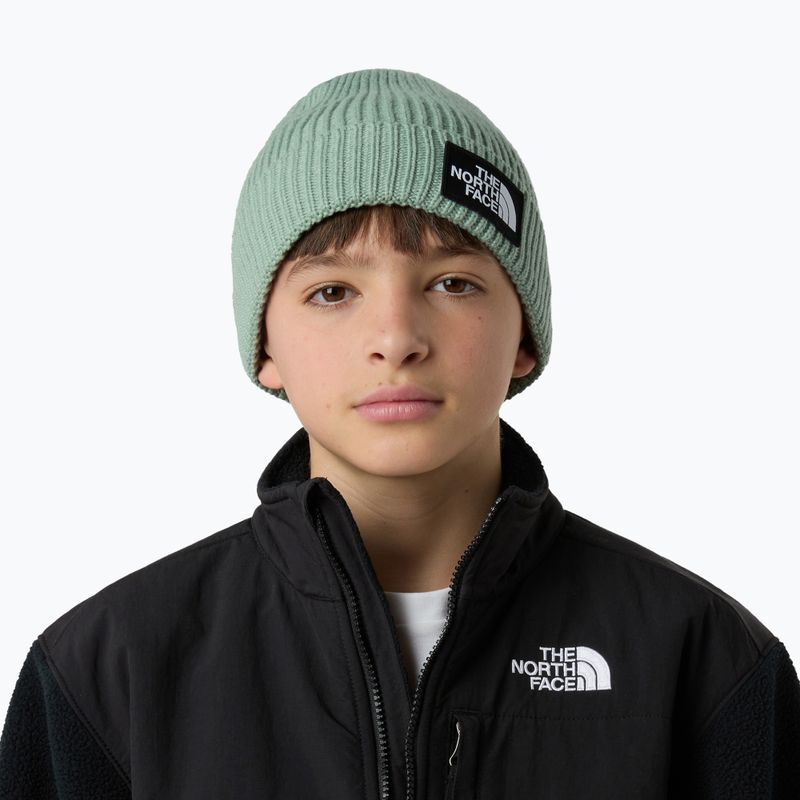 Dětská zimní čepice The North Face Logo Box Cuffed 3