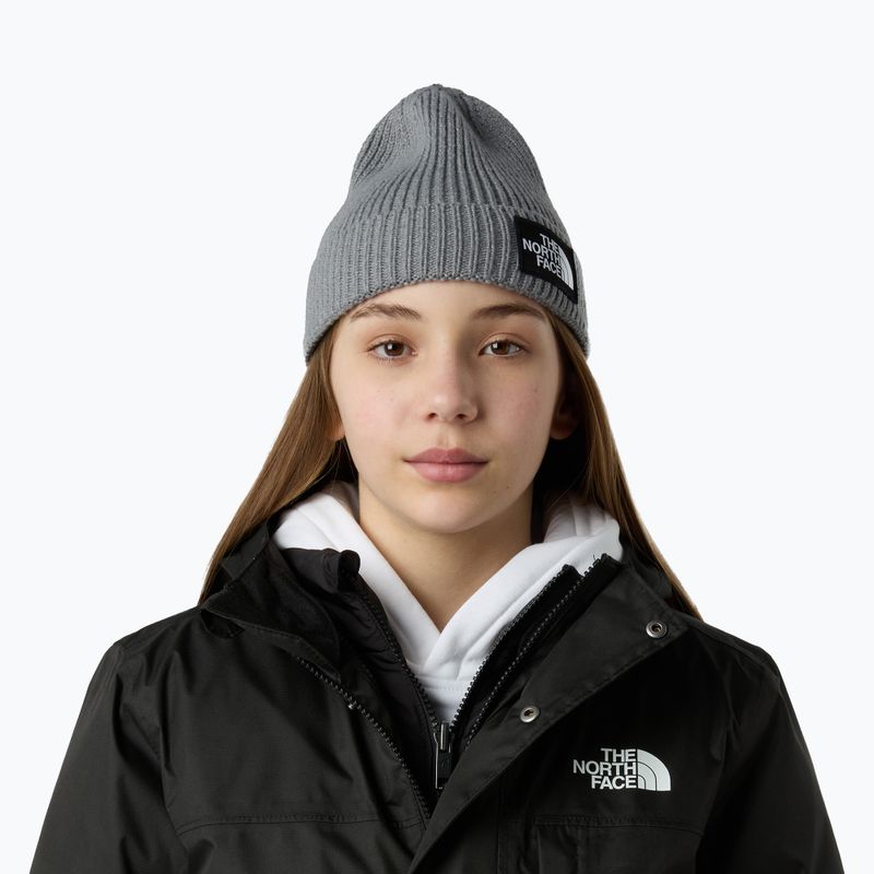 Dětská zimní čepice The North Face Logo Box Cuffed 3