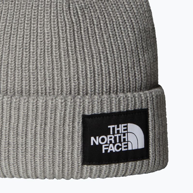 Zimní čepice The North Face Salty Lined 2