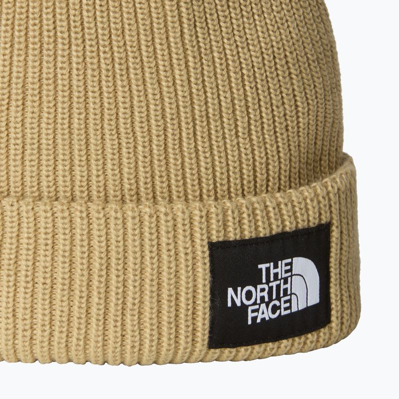 Zimní čepice The North Face Salty Lined 2