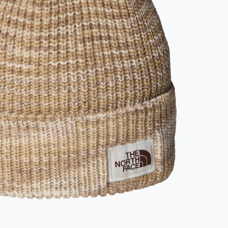 Zimní čepice The North Face Salty Bae Lined 2