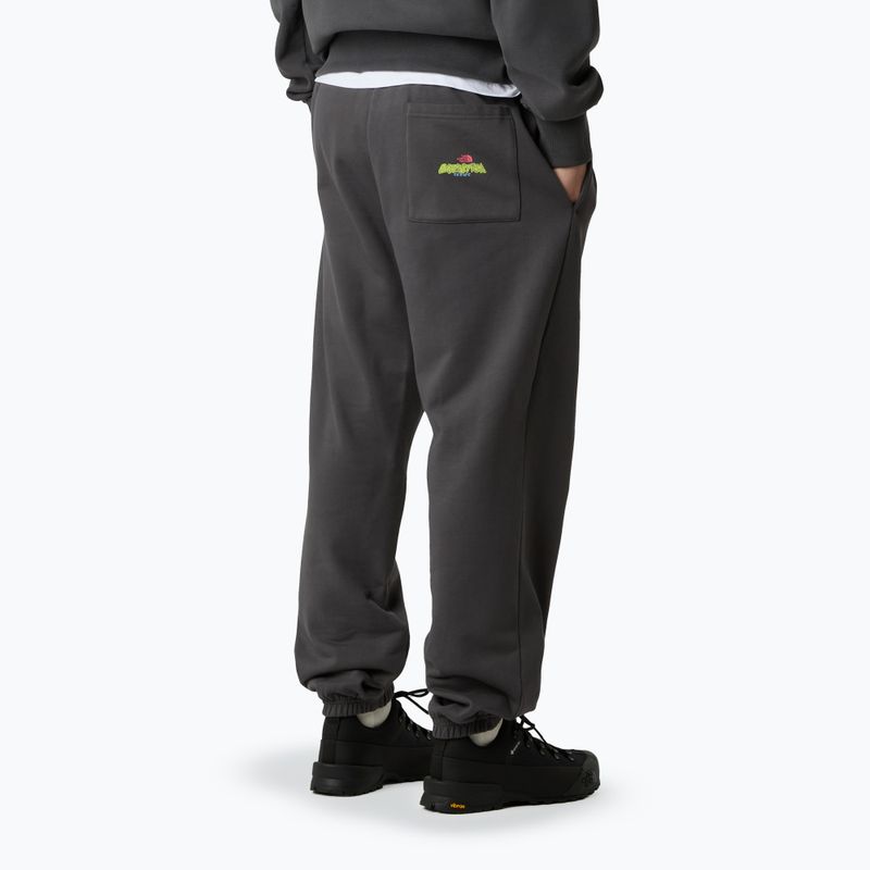 Pánské kalhoty The North Face Expedition Celebration Relaxed Jogger Reg antracithe grey 3