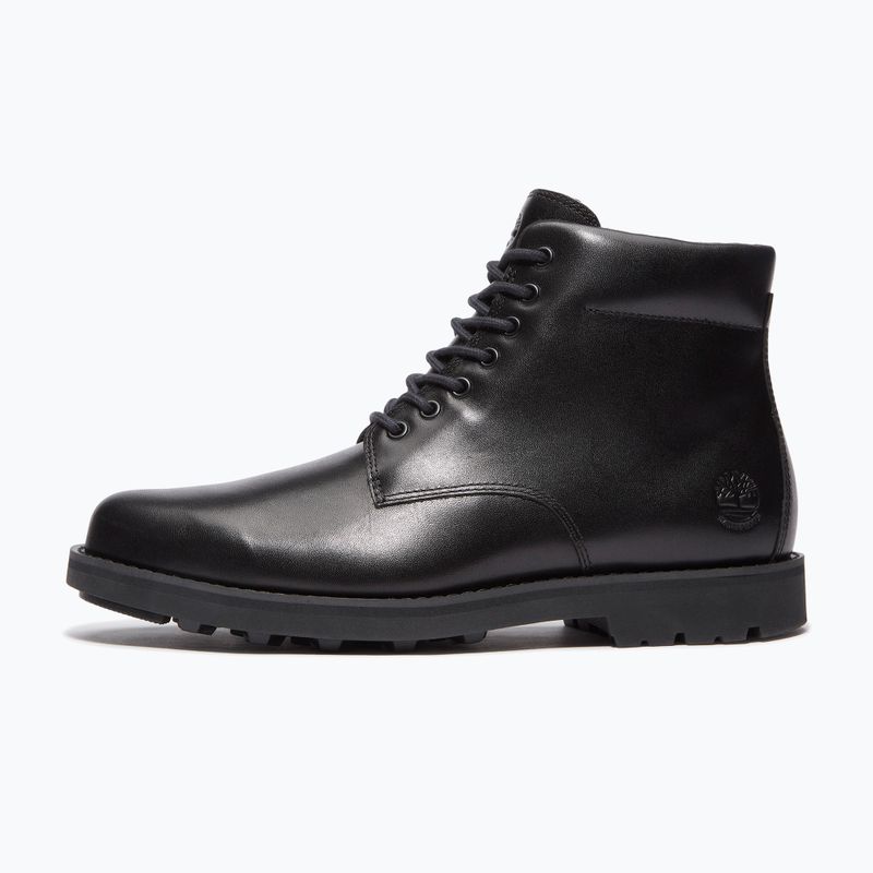 Pánské boty Timberland Alden Brook Mid Lace Up black/full grain 2