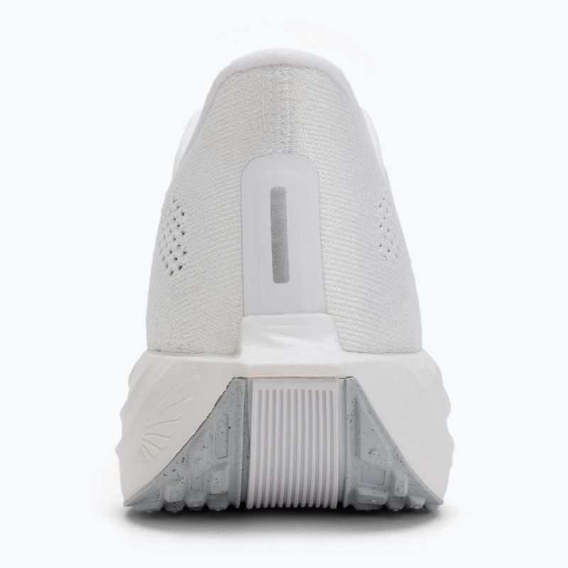 Pánské běžecké boty Nike Pegasus Plus white / pure platinum / wolf grey 6