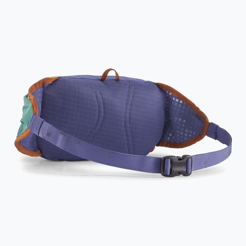 Ledvinka Patagonia Terravia Tote solstice purple  2