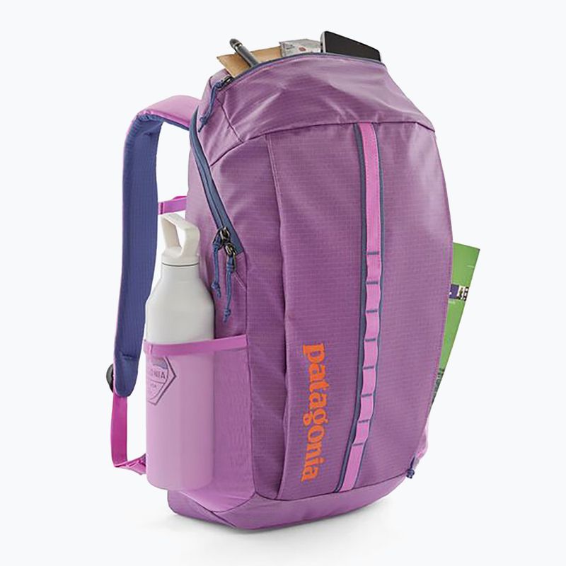 Městský batoh Patagonia Black Hole Pack 25 l brisk purple 3