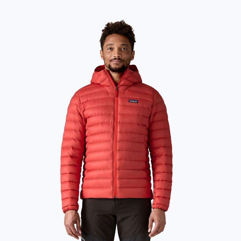 Pánská péřová bunda Patagonia Down Sweater Hoody amanita red