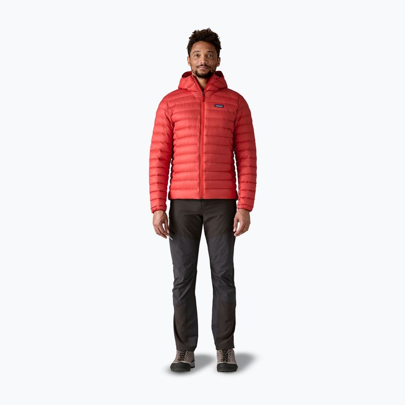 Pánská péřová bunda Patagonia Down Sweater Hoody amanita red 2
