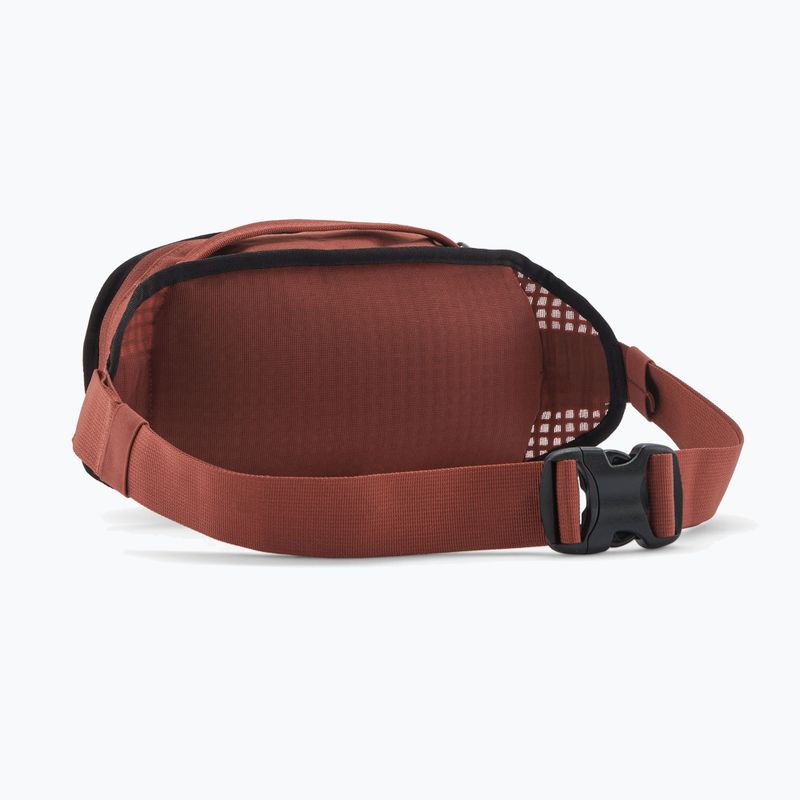 Ledvinka Patagonia Fieldsmith Hip Pack 5 l dried vanilla 2