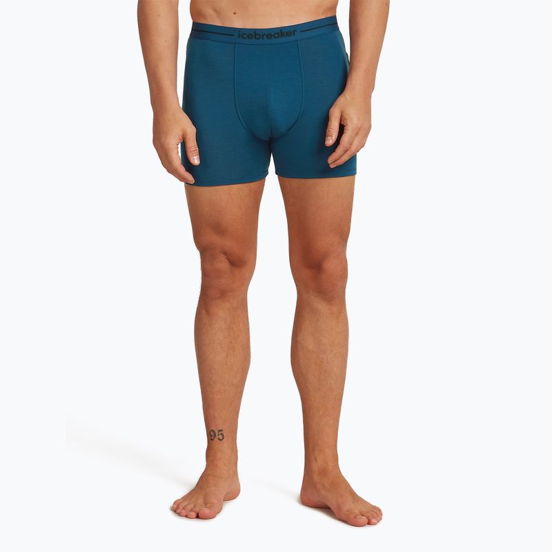 Pánské termo boxerky Icebreaker Anatomica atlantis 2