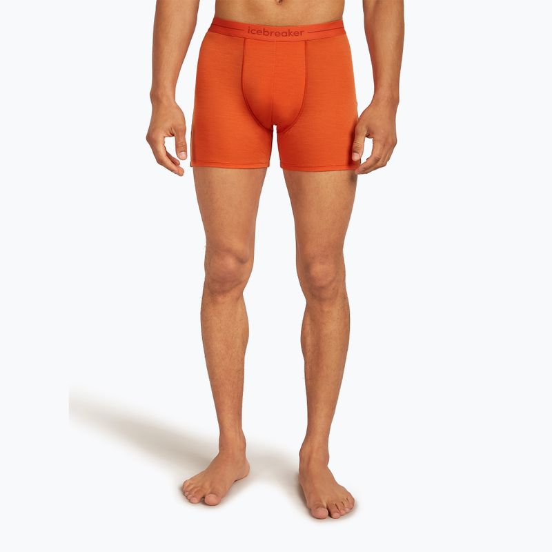 Pánské termální boxerky Icebreaker Anatomica fervid 2