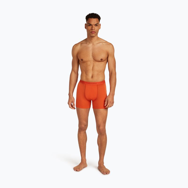 Pánské termální boxerky Icebreaker Anatomica fervid 3