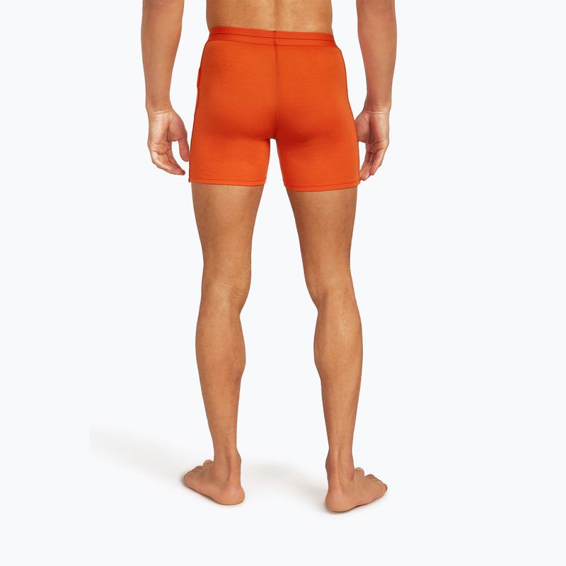 Pánské termo boxerky Icebreaker Anatomica fervid 4