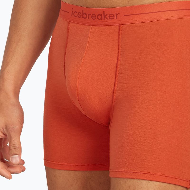Pánské termální boxerky Icebreaker Anatomica fervid 5