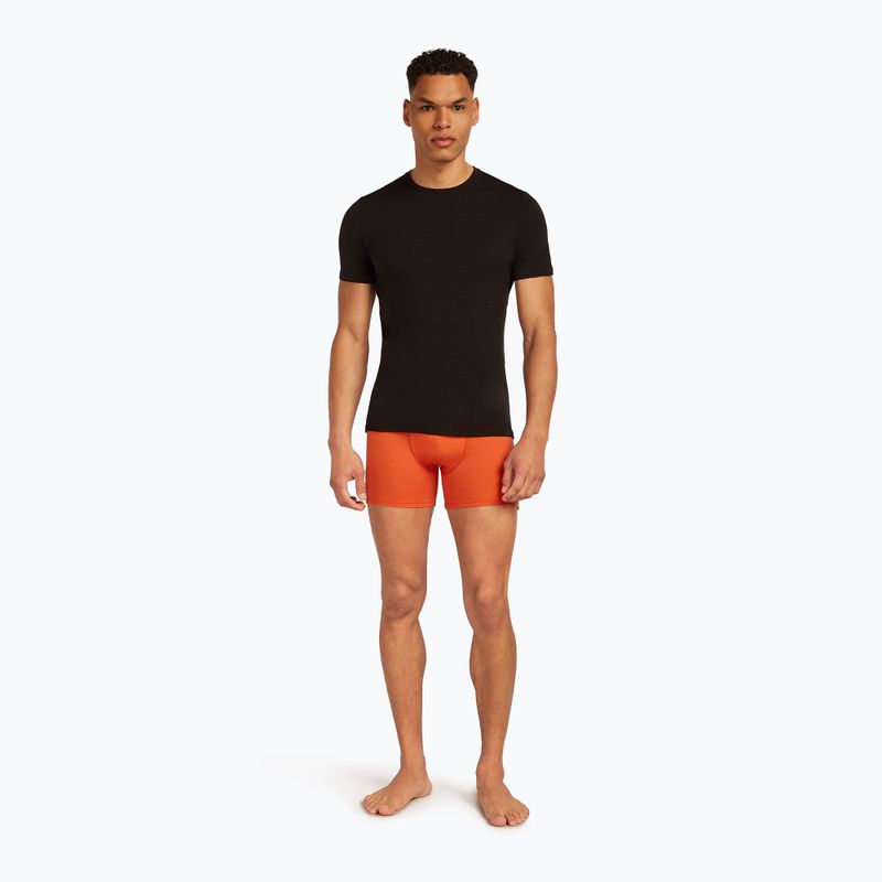 Pánské termální boxerky Icebreaker Anatomica fervid 6