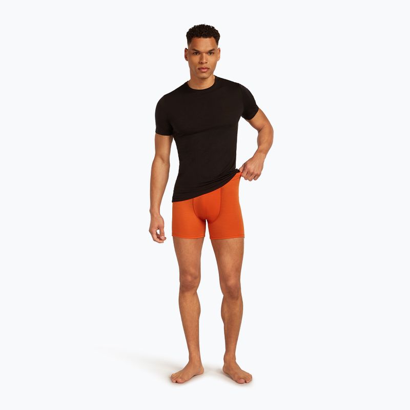 Pánské termální boxerky Icebreaker Anatomica fervid 7