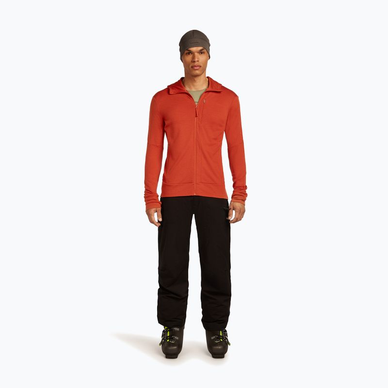 Pánská mikina Icebreaker Merino 260 Quantum IV Zip Hoodie agate 2