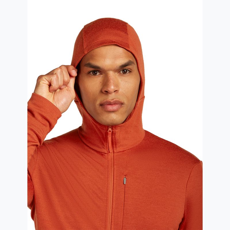 Pánská mikina Icebreaker Merino 260 Quantum IV Zip Hoodie agate 5