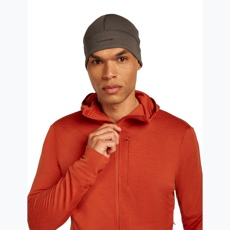 Pánská mikina Icebreaker Merino 260 Quantum IV Zip Hoodie agate 6