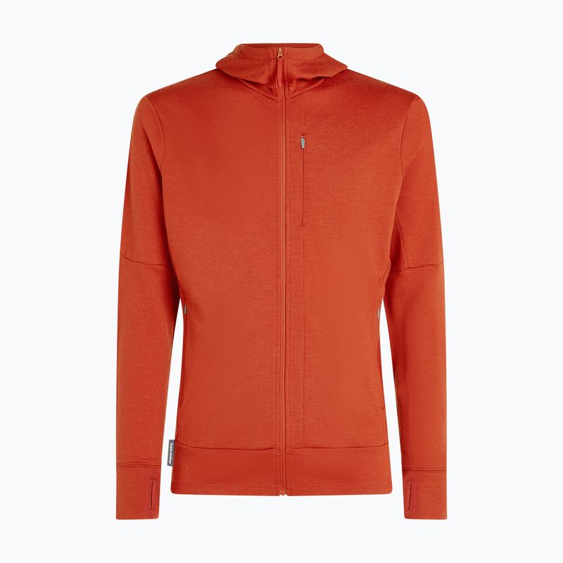 Pánská mikina Icebreaker Merino 260 Quantum IV Zip Hoodie agate 10