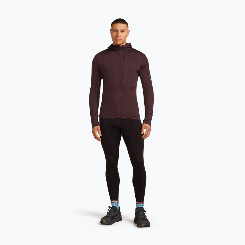 Pánská trekingová mikina Icebreaker Merino 200 RealFleece Descender Zip Hoodie java 2