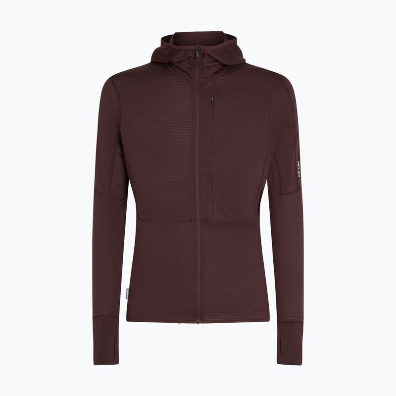 Pánská trekingová mikina Icebreaker Merino 200 RealFleece Descender Zip Hoodie java 10