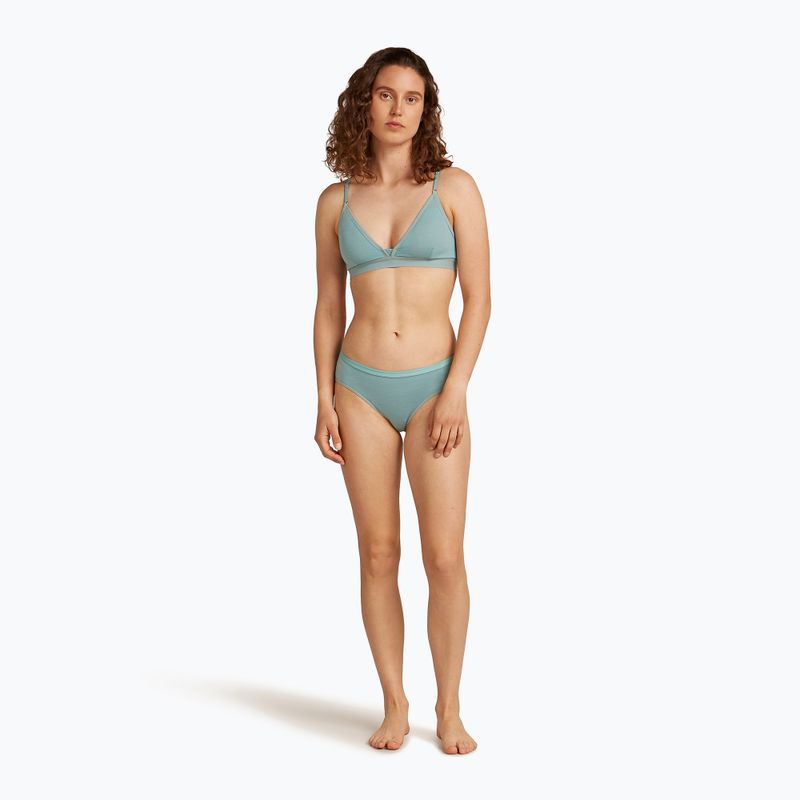 Dámské termokalhotky icebreaker Siren Hipkini hydro 3