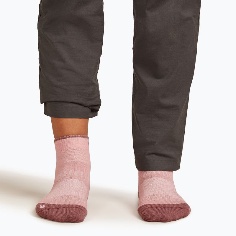 Dámské ponožky Icebreaker Merino Hike+ Light Mini blush/summit 4