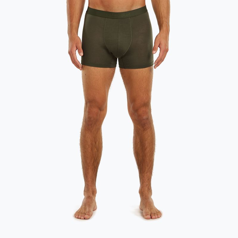 Pánské termo boxerky Icebreaker Merino 125 Cool-Lite Anatomica dark loden 2