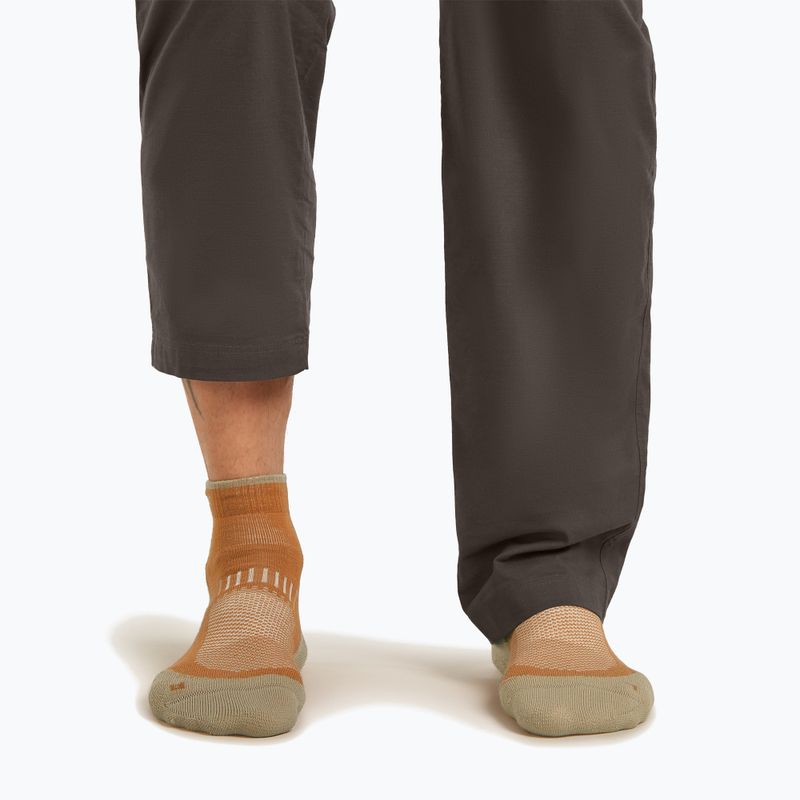 Pánské ponožky Icebreaker Merino Hike+ Light Mini trail/flagstone 7