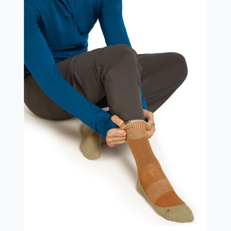 Pánské ponožky Icebreaker Merino Hike+ Medium Crew trail/flagstone 4