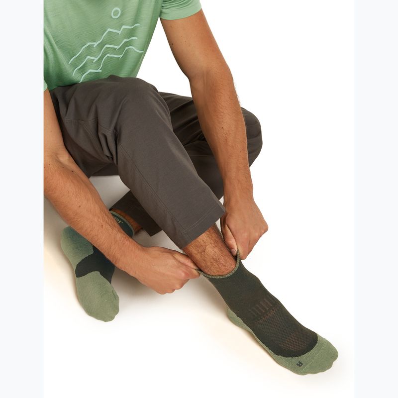 Pánské ponožky Icebreaker Merino Hike+ Light Mini dark loden/lichen 8