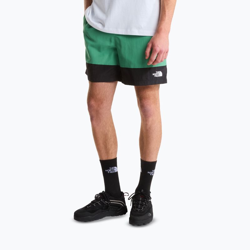 Pánské trekové šortky The North Face Leynar dimmed algae/tnf black