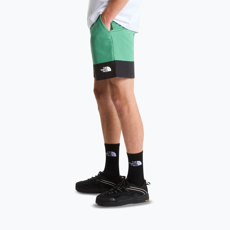 Pánské trekové šortky The North Face Leynar dimmed algae/tnf black 4